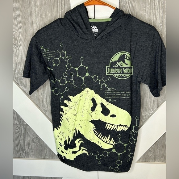 034. Jurassic World Boys Cosplay Hoodie Short Sleeve Tee - Picture 1 of 3